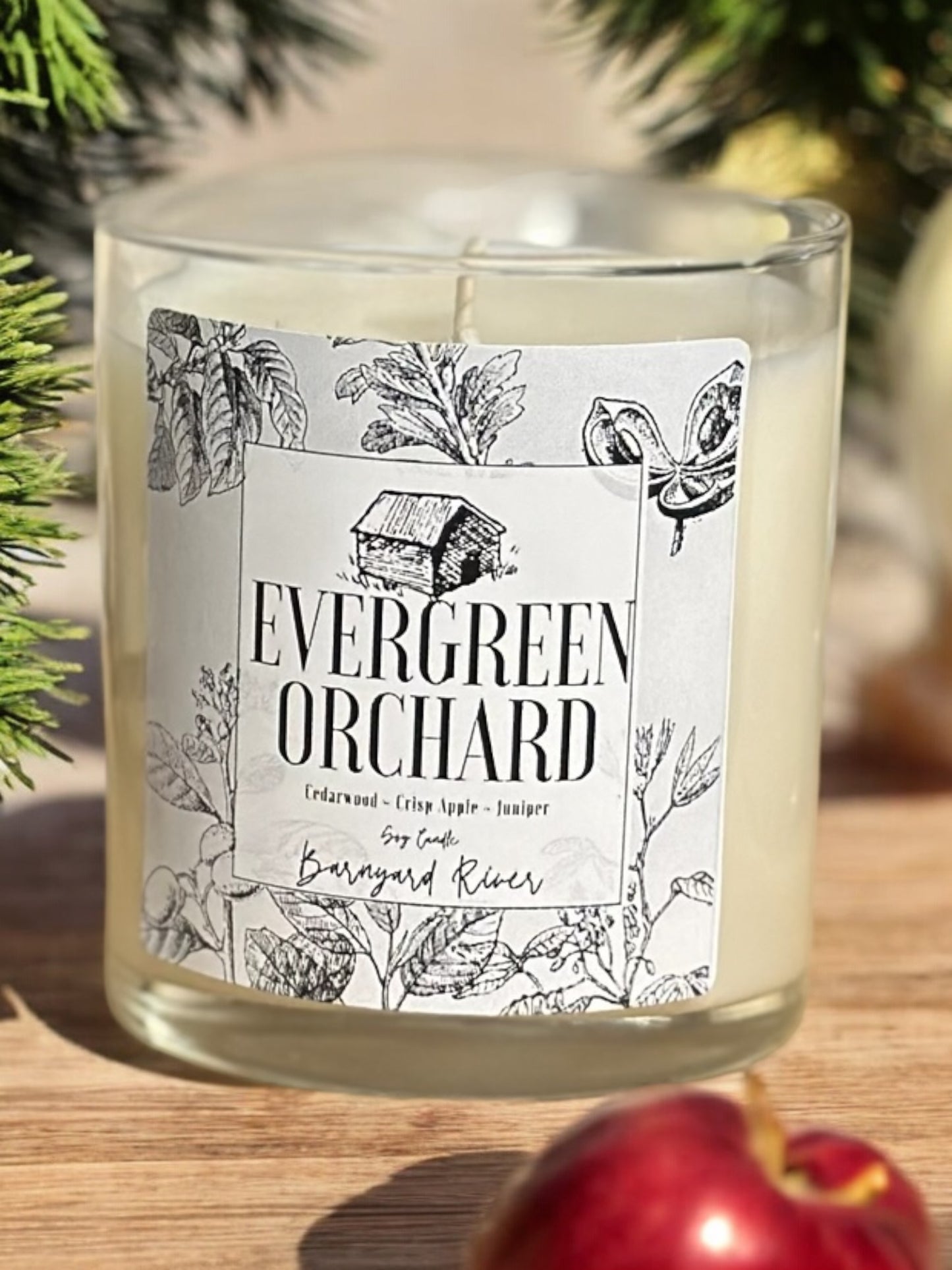 Evergreen Orchard