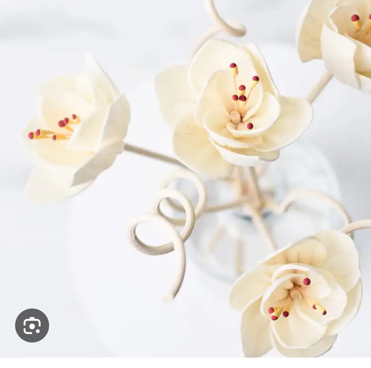 Bamboo Reed Diffuser | Reed Diffuser | Barnyard River