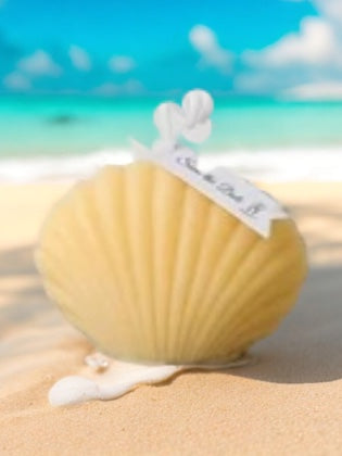 Sea Shell Candle | Chamomile Shell | Barnyard River