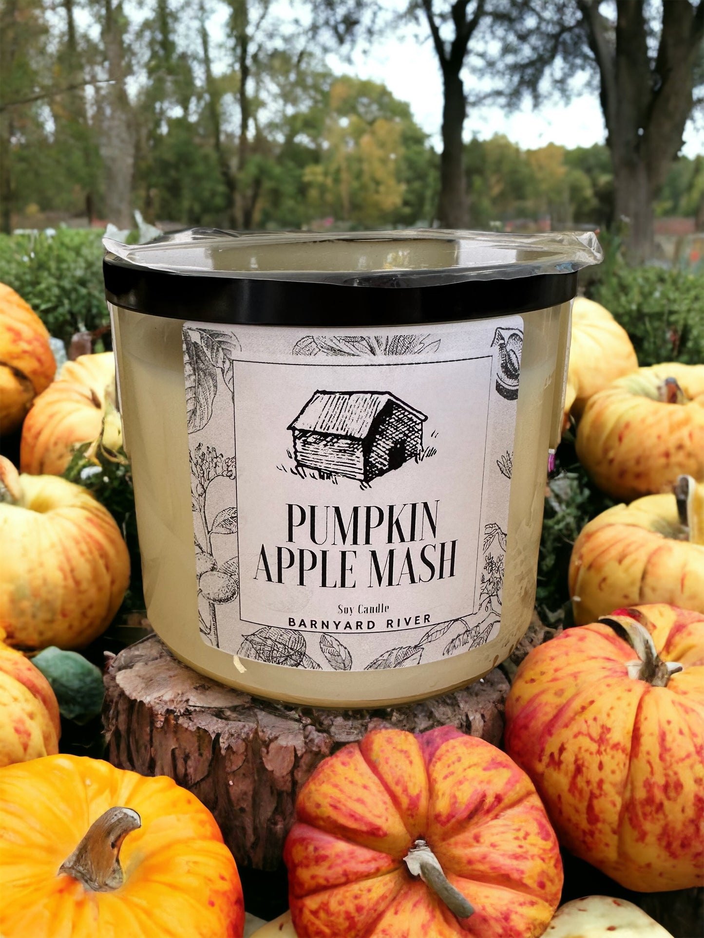 Pumpkin Apple Mash