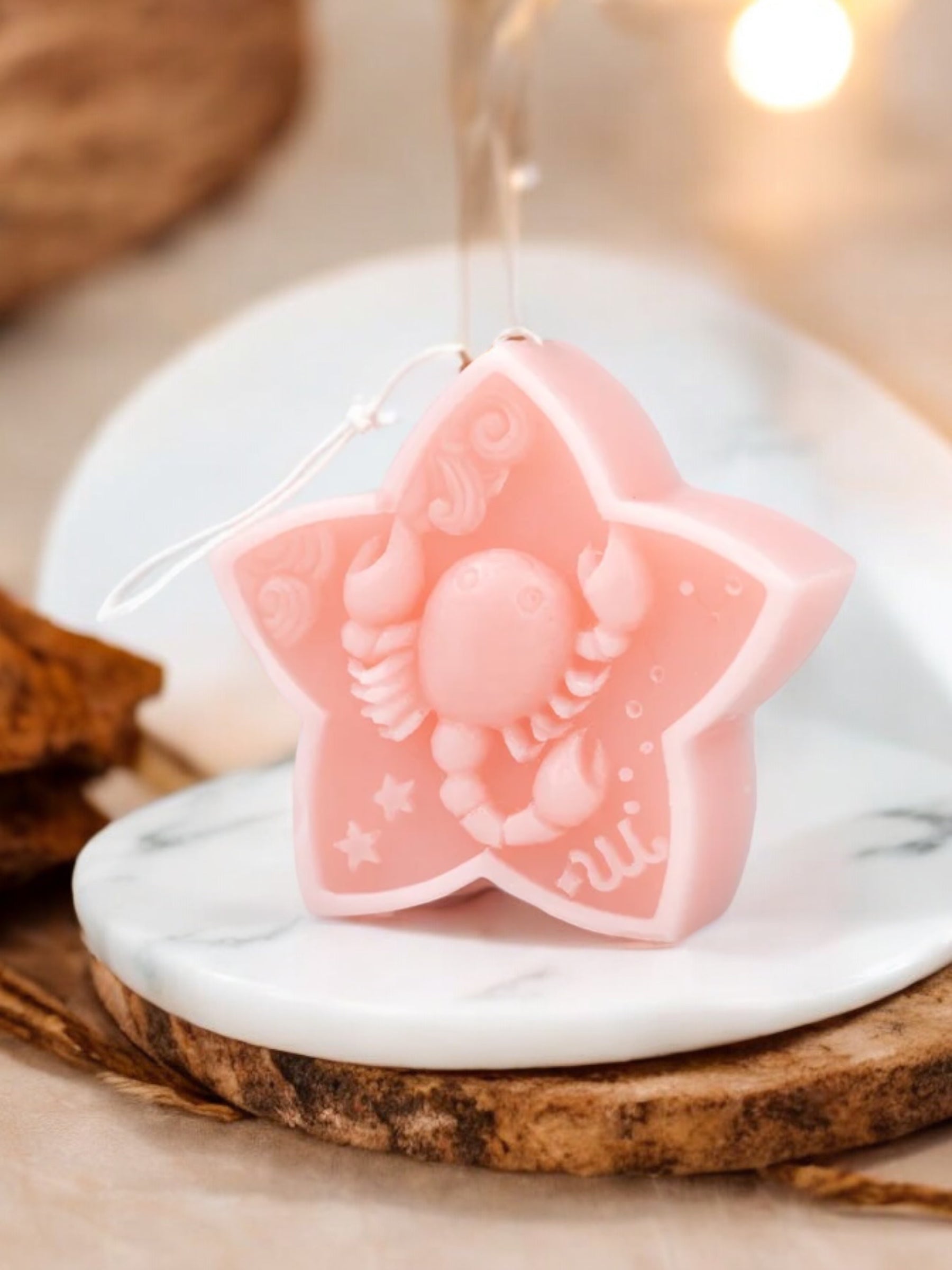 Zodiac Sign Candles | Scorpio | Barnyard River