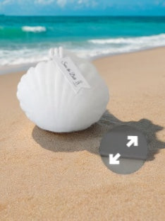 Fragrance Candles | English Pear Sea Shell | Barnyard River