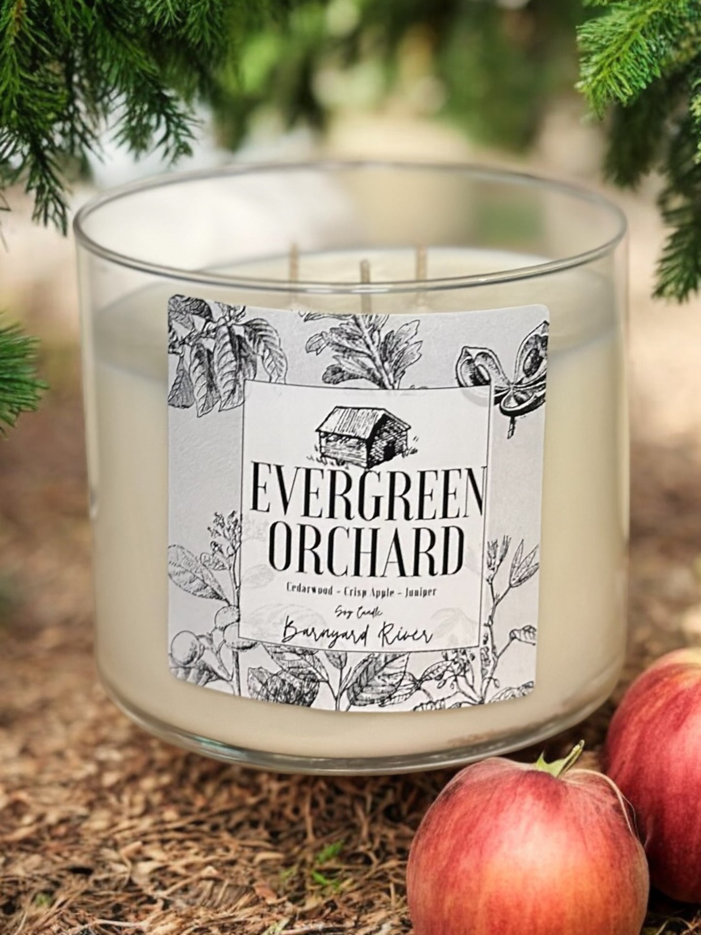 Evergreen Orchard