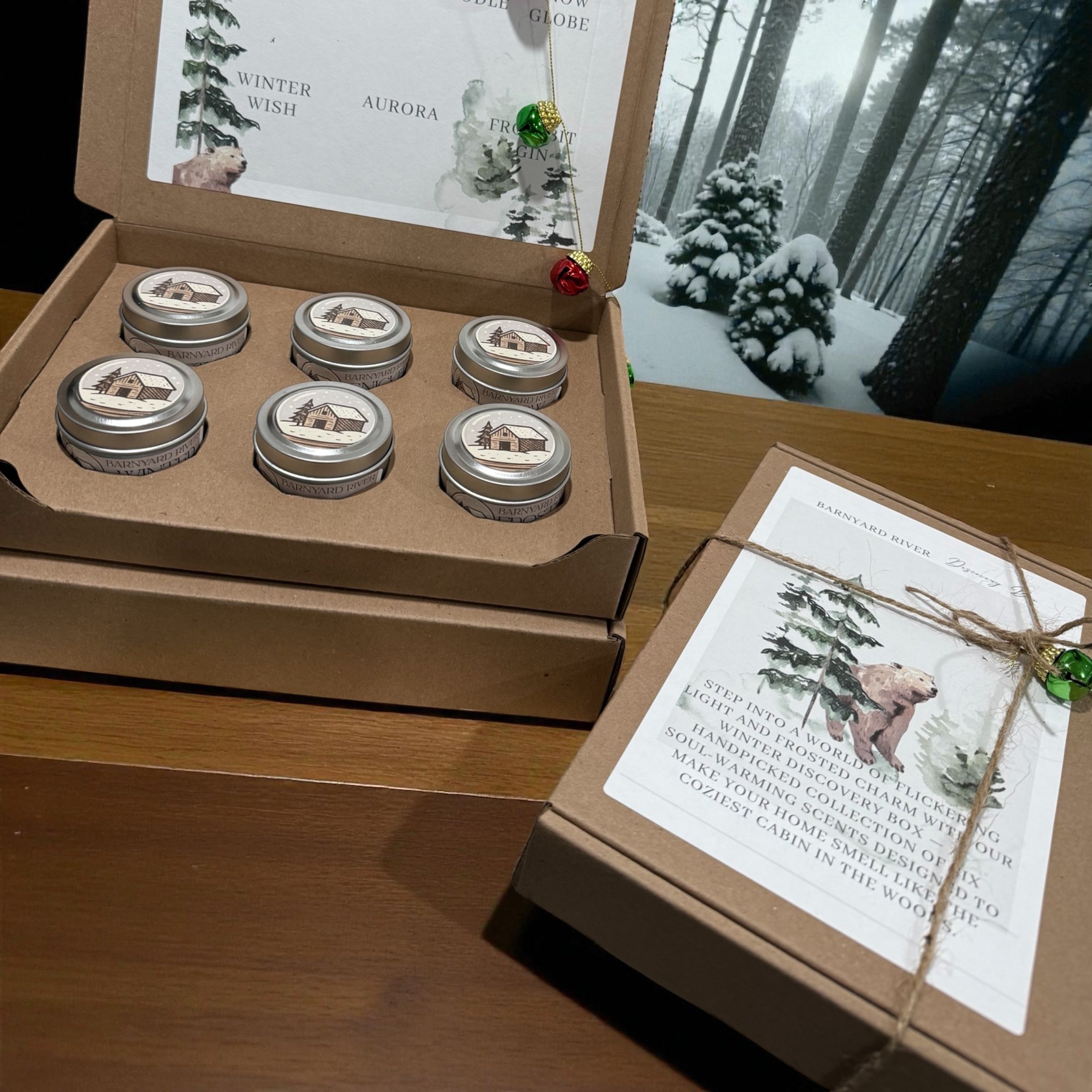 Winter  Discovery Box